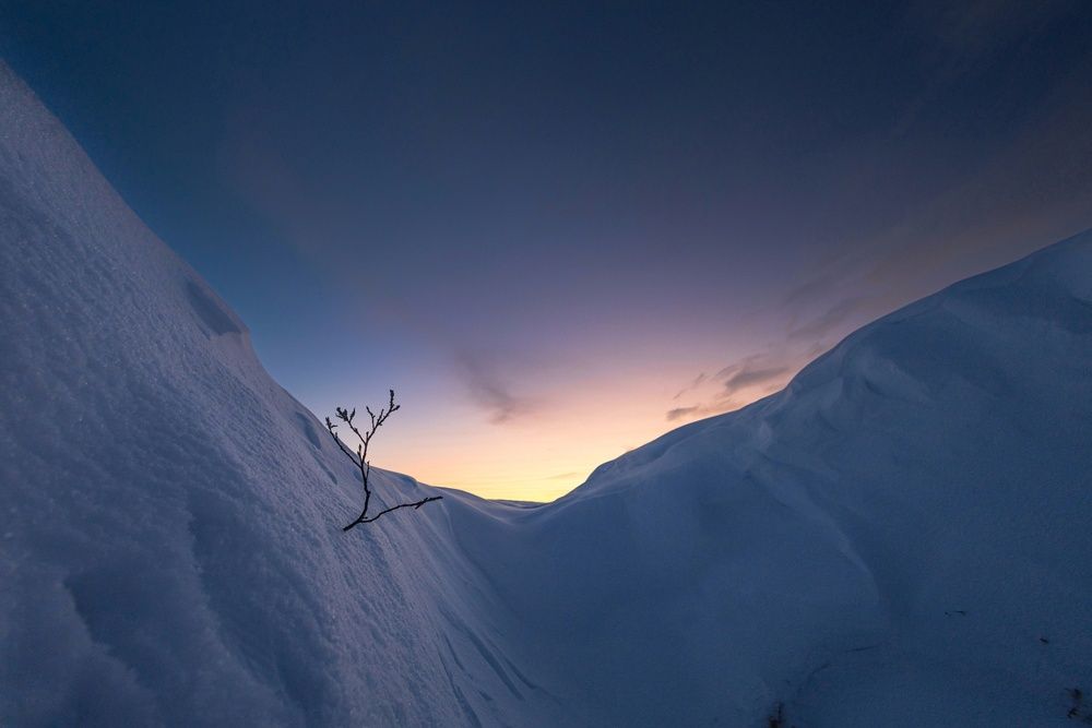 Фотография автора Антон Дроздов