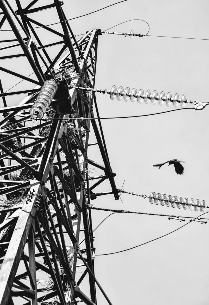 Photograph by Ирина Ненашева
