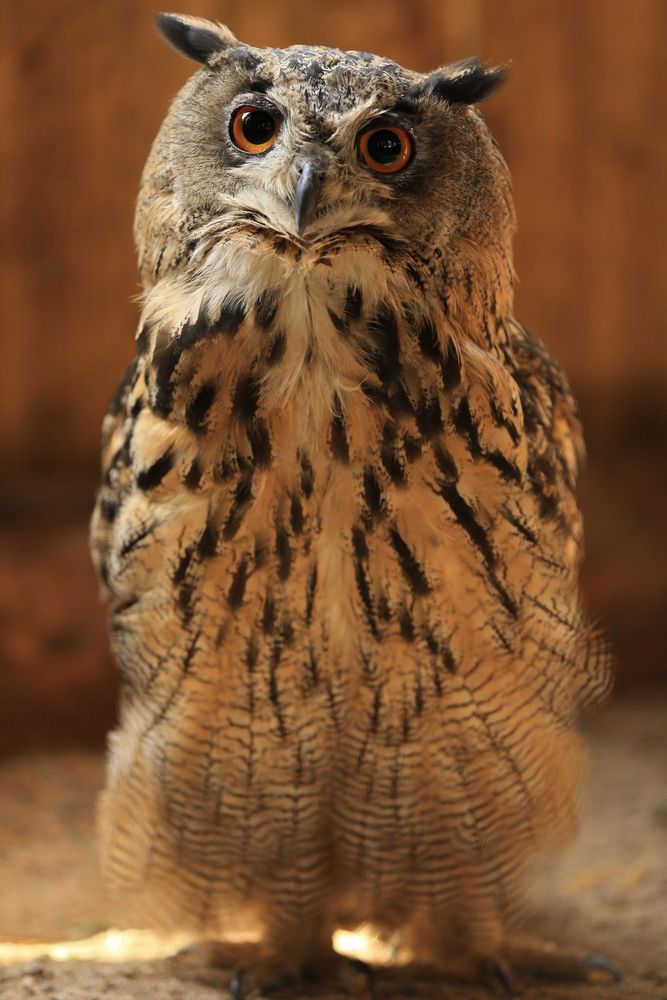 Photograph by Юрий Кетель