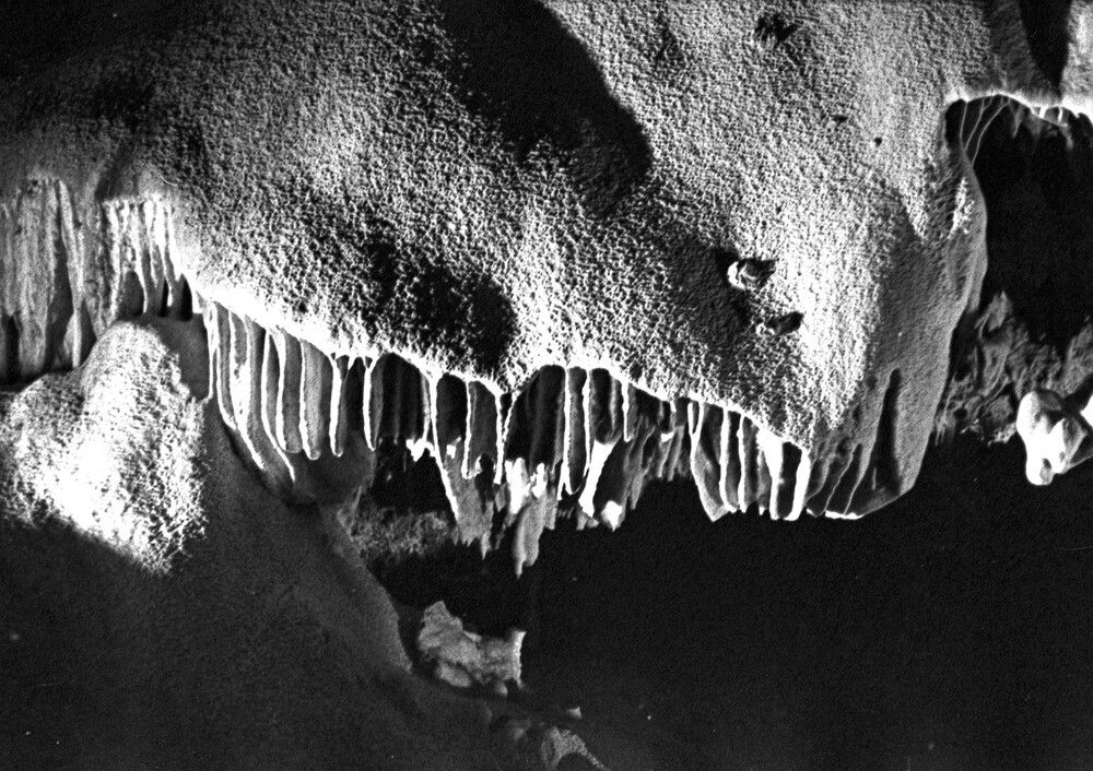 Photograph by Владимир Малёшин