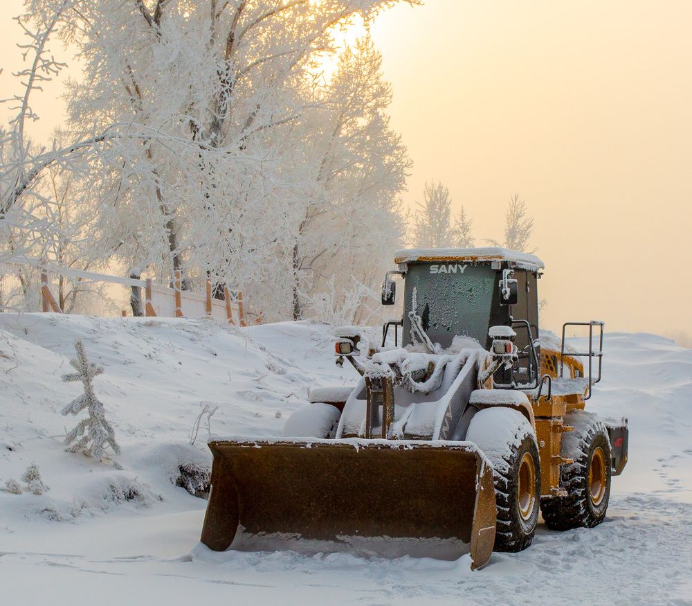 Фотография автора Червяков Григорий