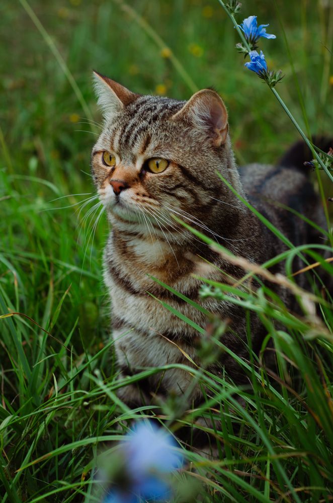 Photograph by Илья Краснопёров