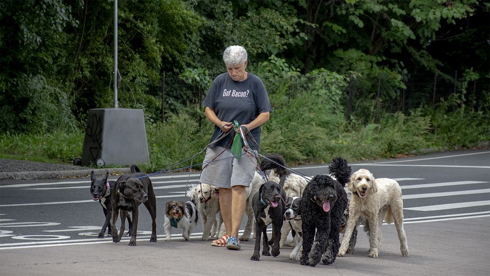 Photograph by Гришанов Пётр