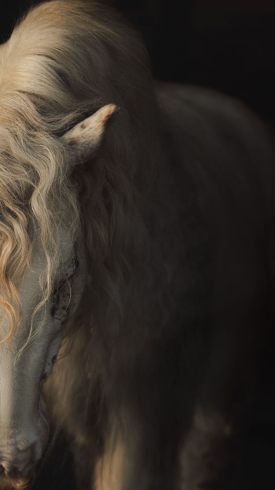 Фотография автора Калинина Анна