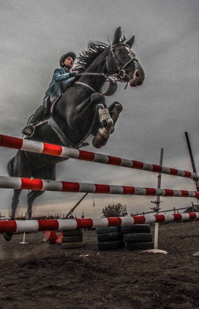 Фотография автора Regina Malashuk