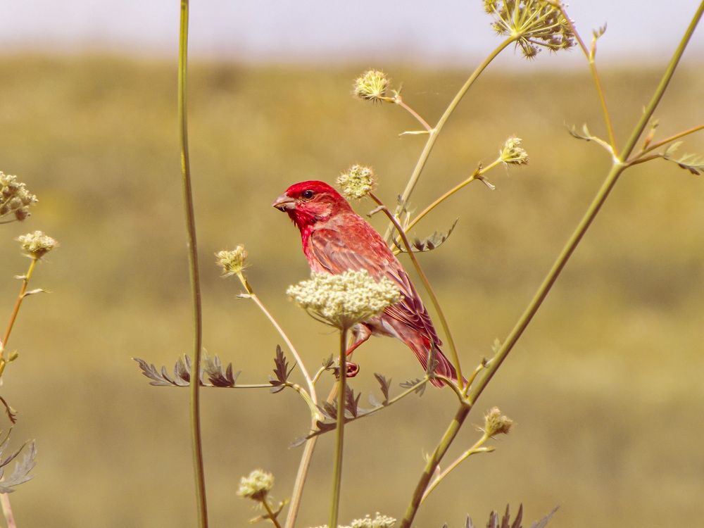 Photograph by Иван Губский