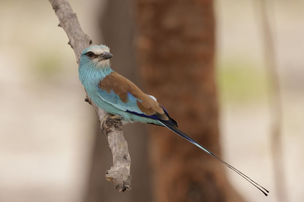 Photograph by Tatiana KURAKOVA