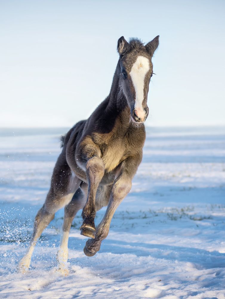 Photograph by Екатерина