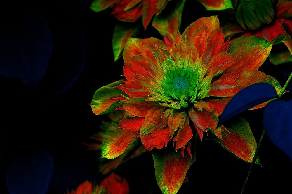 Photograph by Наталья Лобанова