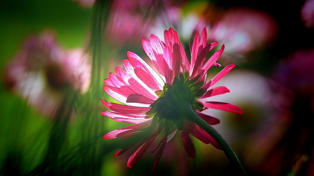 Photograph by Наталья Лобанова