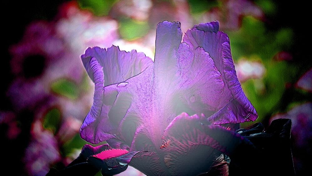 Photograph by Наталья Лобанова