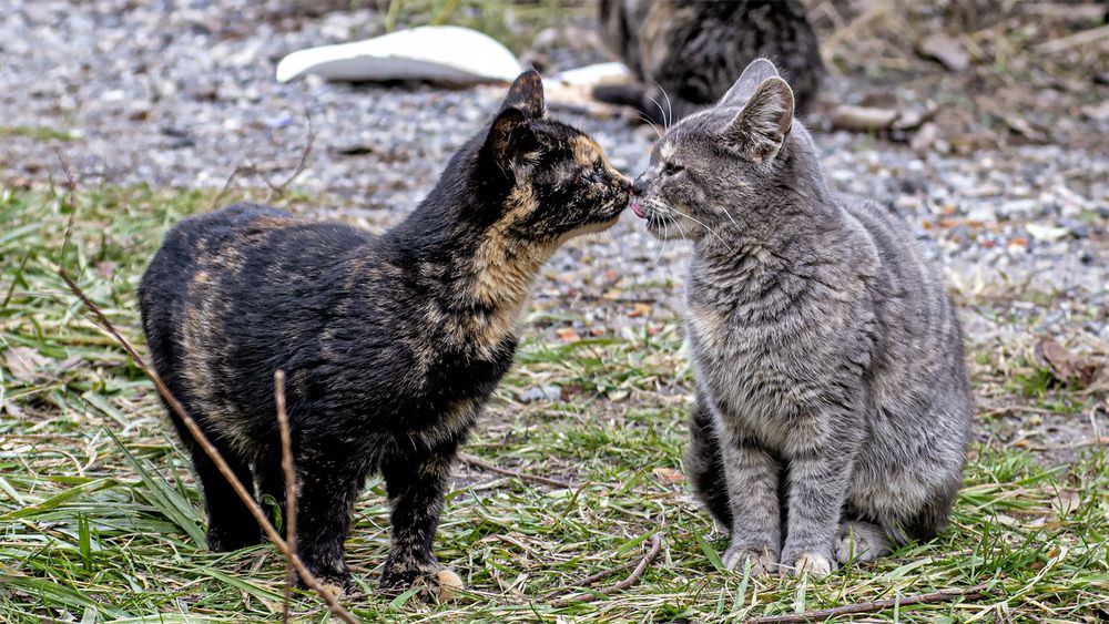 Photograph by Гришанов Пётр