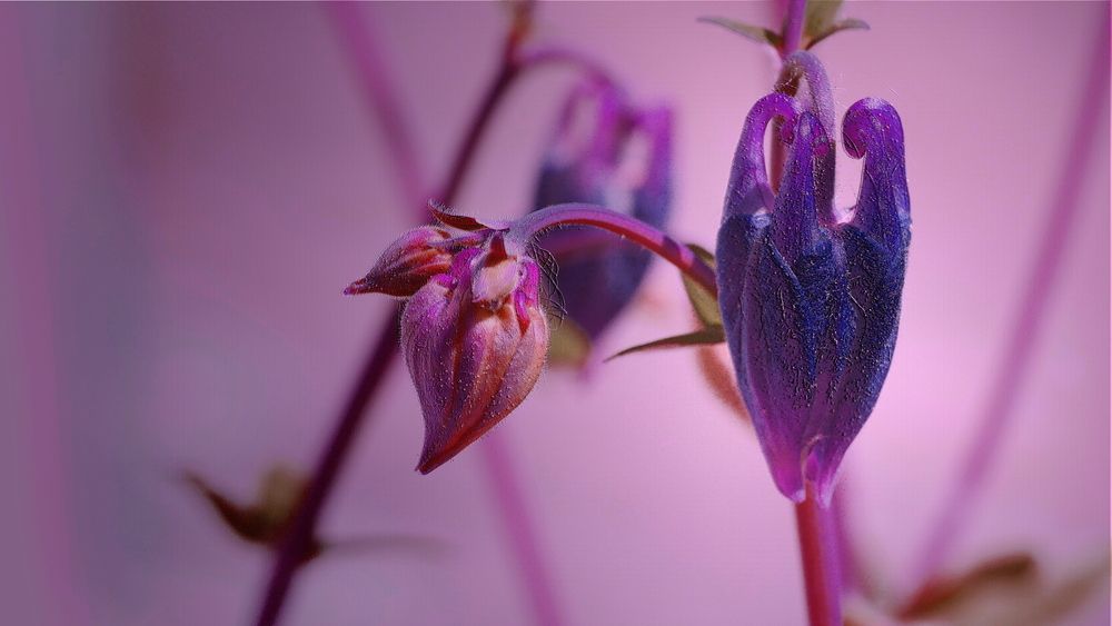 Photograph by Наталья Лобанова