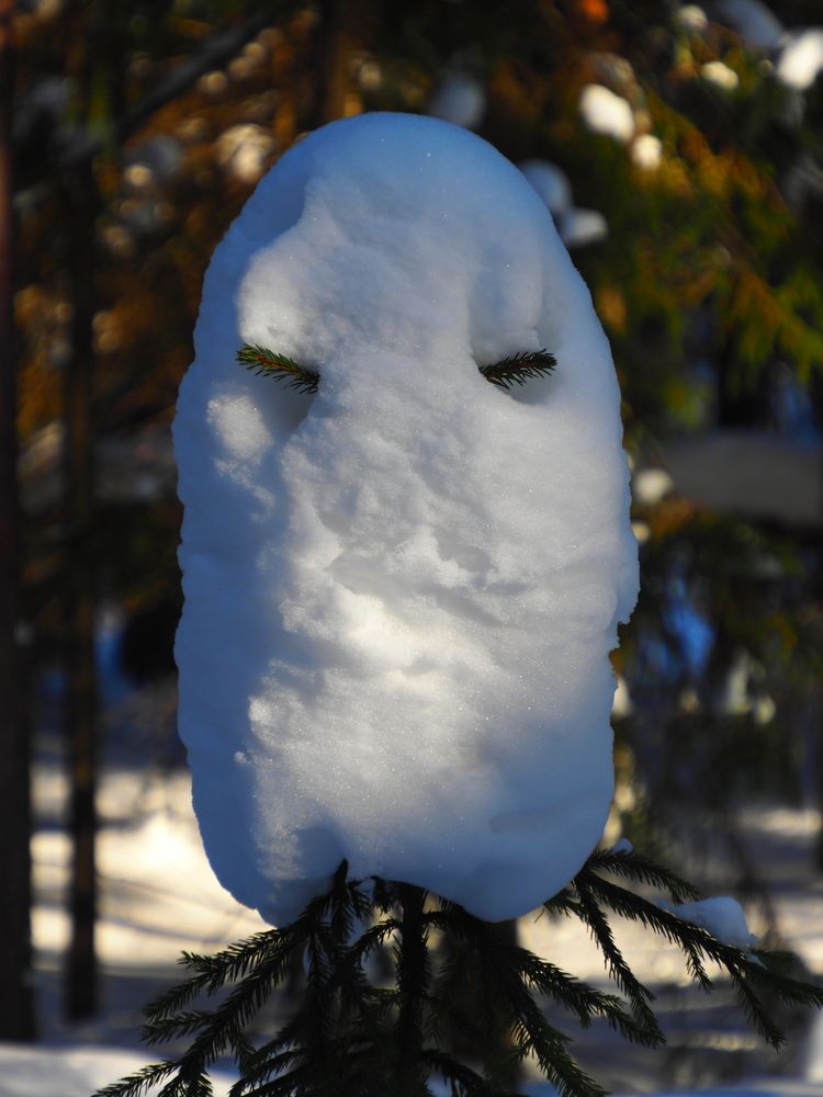 Photograph by ANDREY PERESHEIN