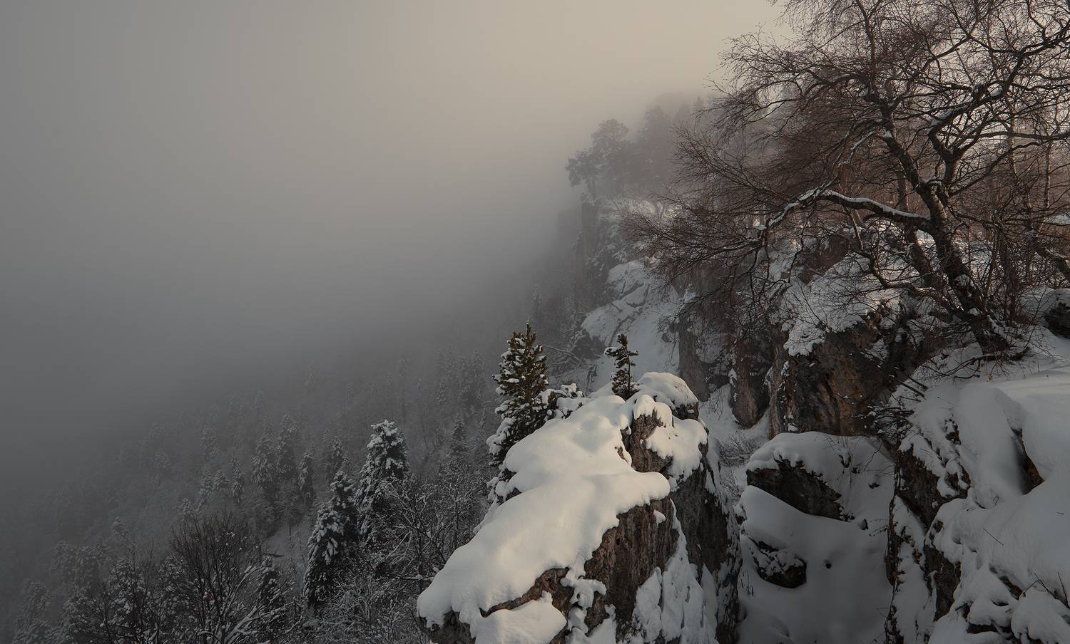 Фотография #13113026