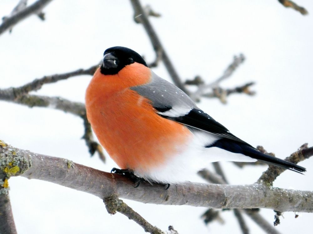 Photograph by Татьяна Колчанова