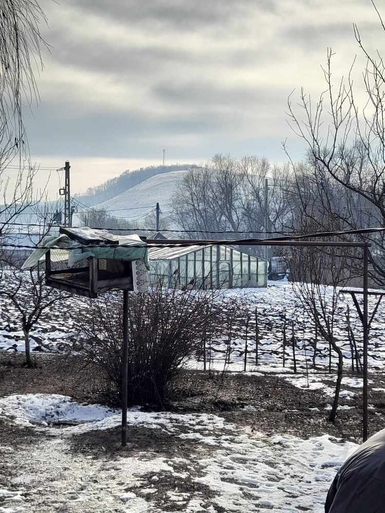 ...winter on the hill... .