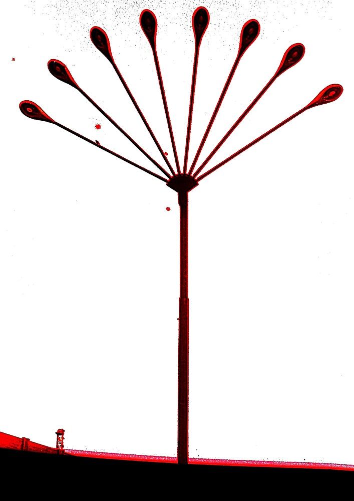 Photograph by Владимир Малёшин