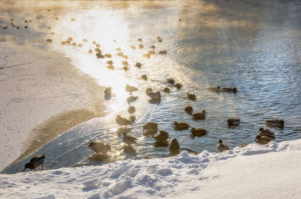 Photograph by Полина Хрол