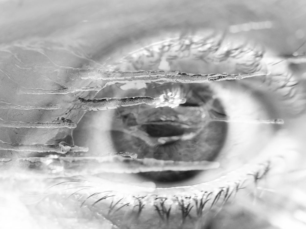 Фотография автора Наталья Сережко