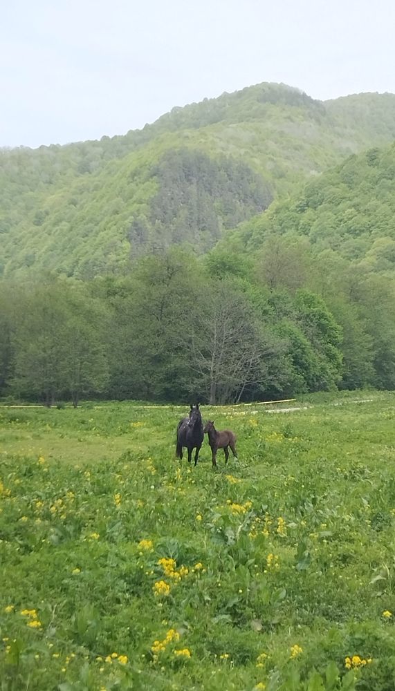 Photograph by Елена Малкова