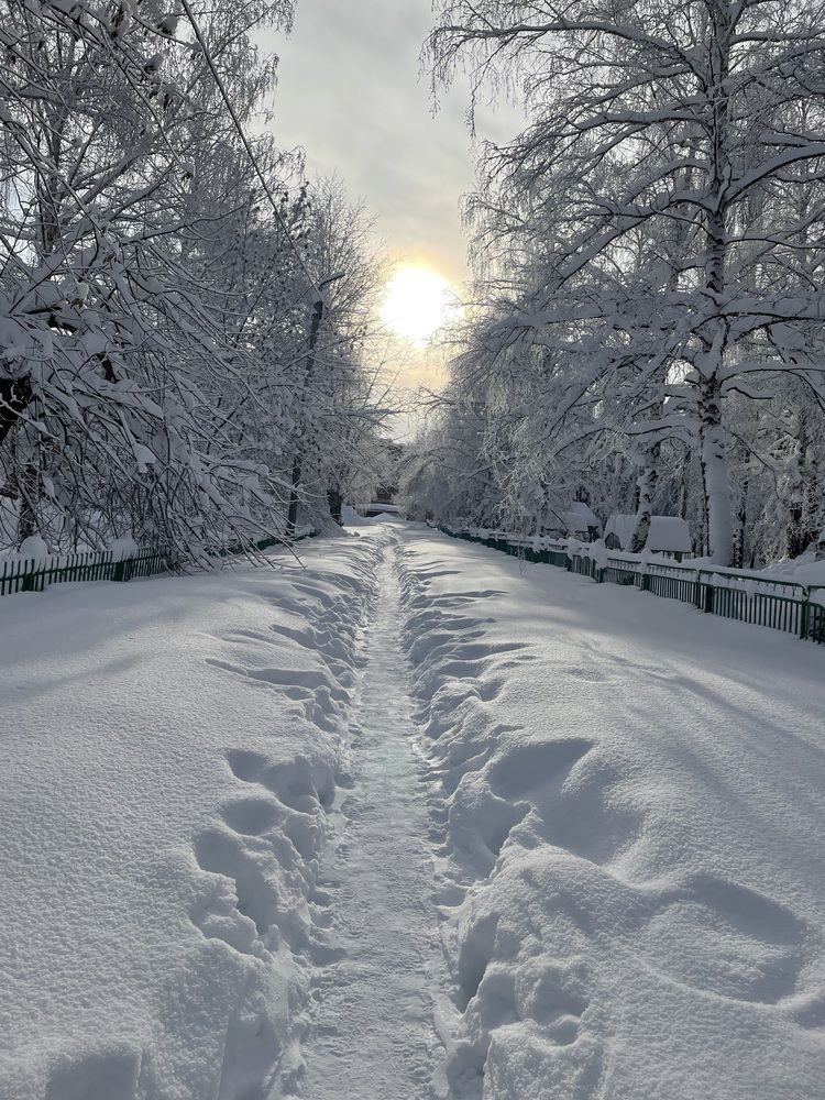 Photograph by Кристина Иванова