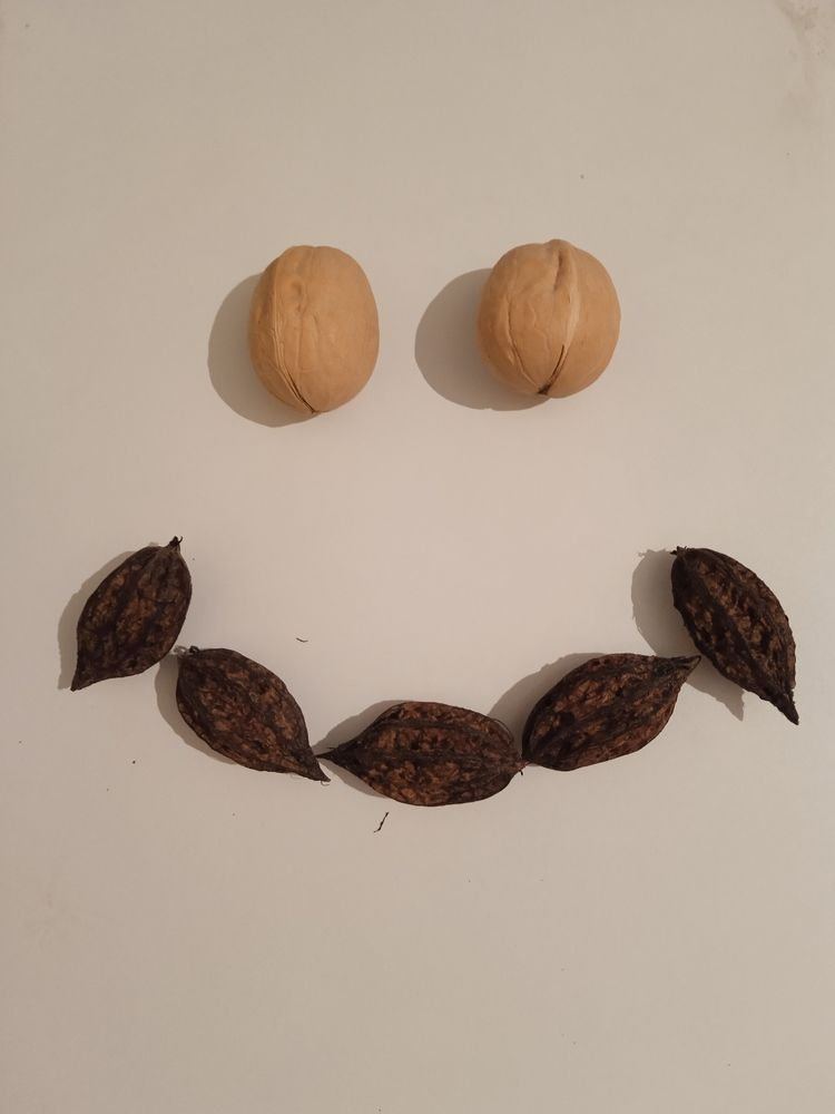 Photograph by Светлана