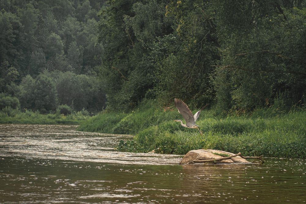 Photograph by Ольга Новикова