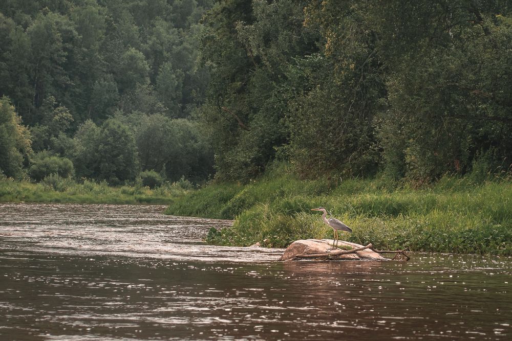 Photograph by Ольга Новикова