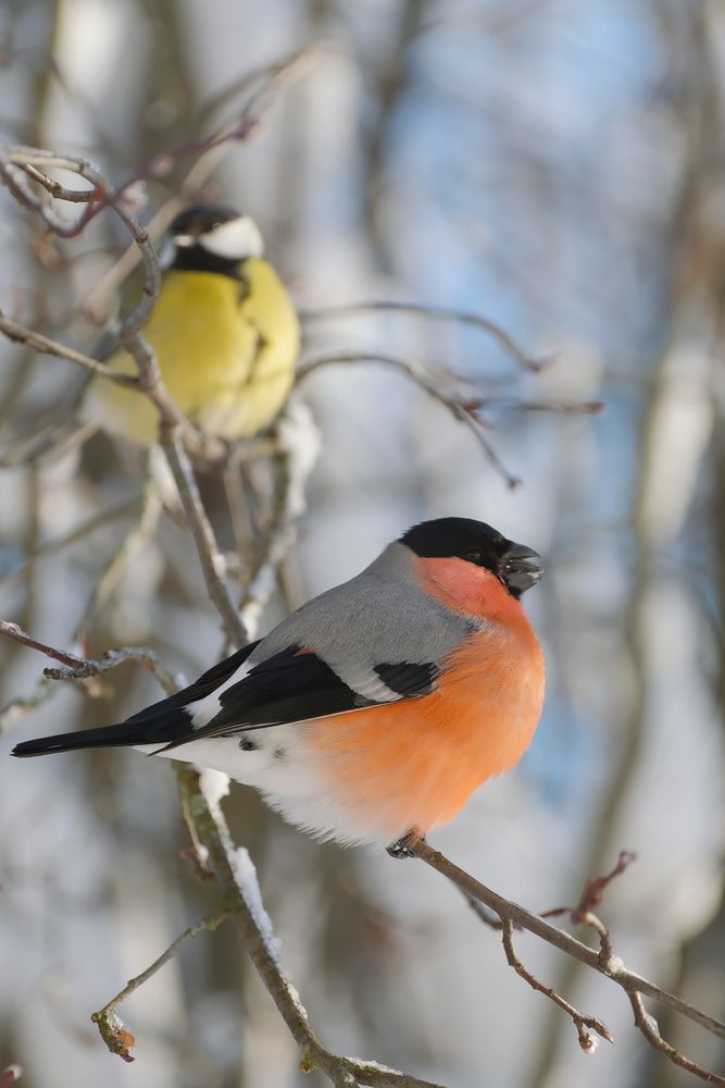 Photograph by Надежда Кангина
