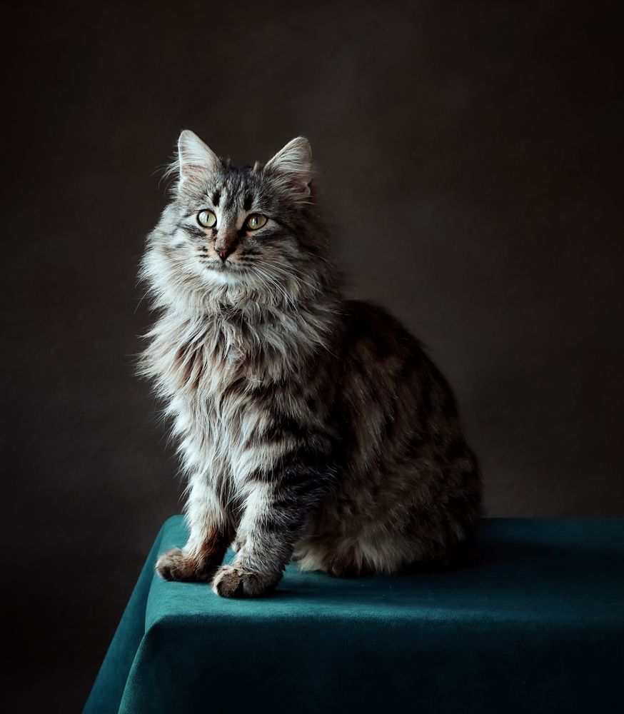 Photograph by Александрова Александра