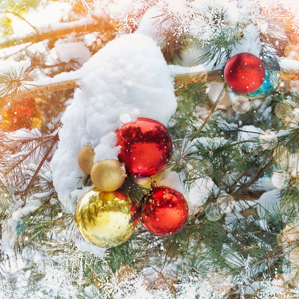 Фотография автора Валерий Вождаев