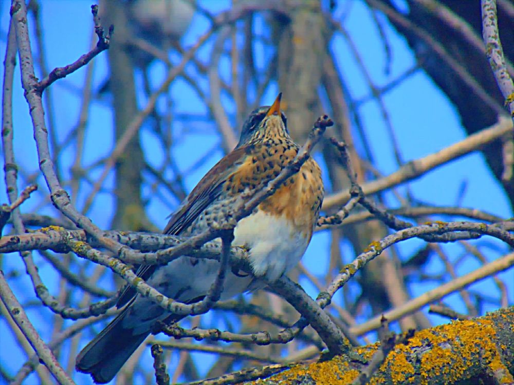 Фотография автора Ольга Шевцова