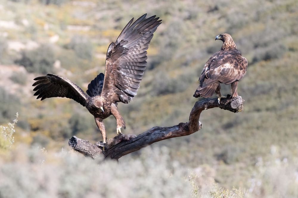 Фотография автора simone iaria