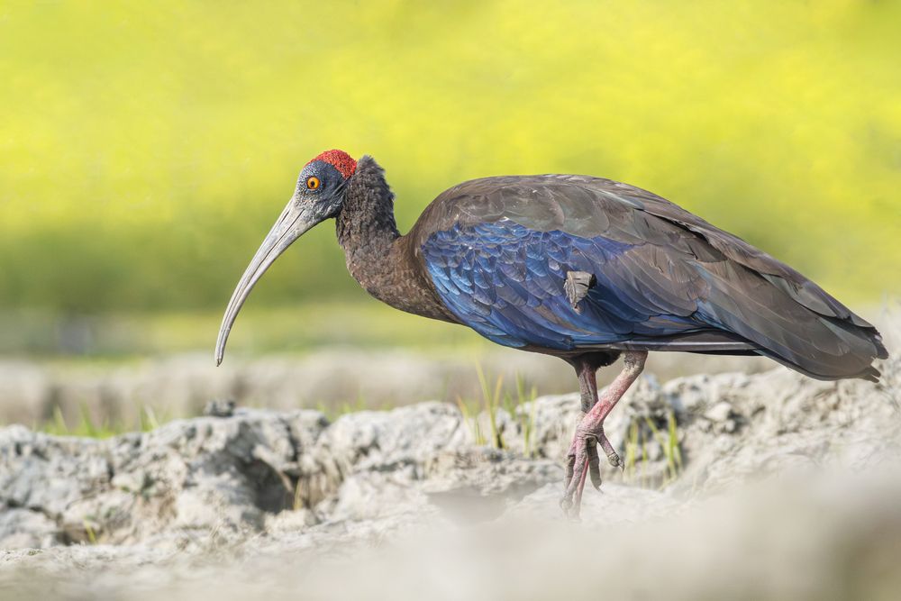 Photograph by Mohammad Hasan