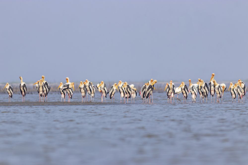 Photograph by Mohammad Hasan