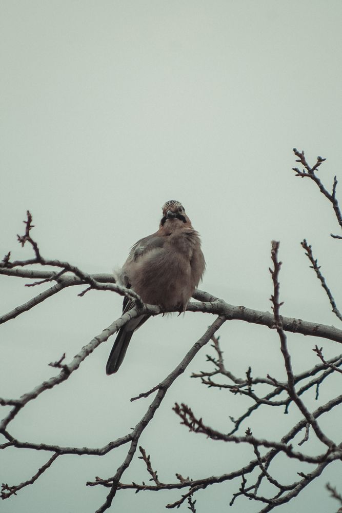 Photograph by Оксана Михайлова