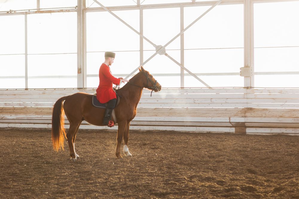 Photograph by Nataly Mayak