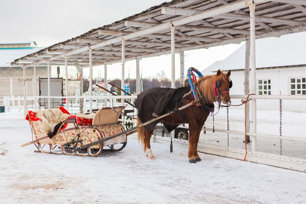 Photograph by Nataly Mayak