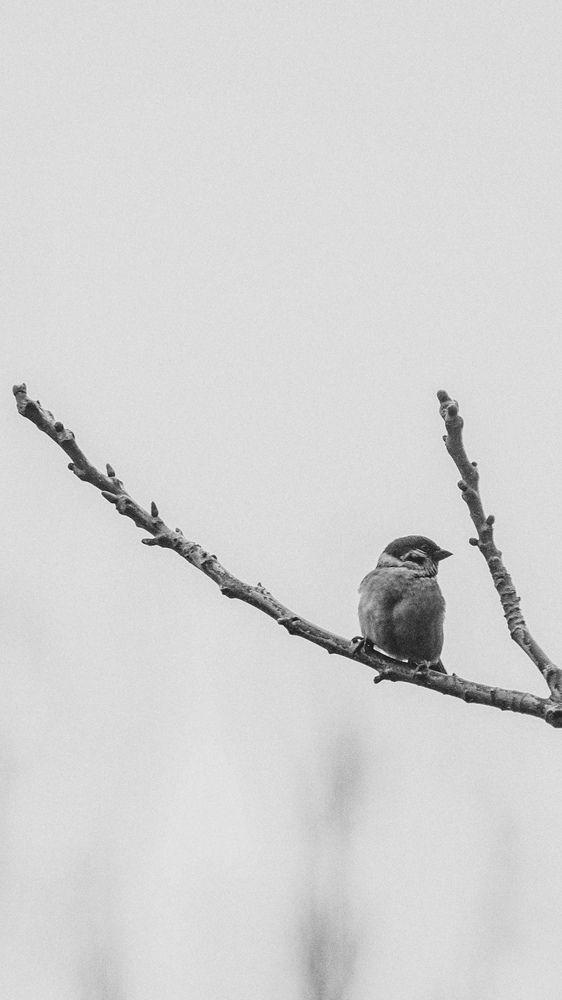 Photograph by Оксана Михайлова