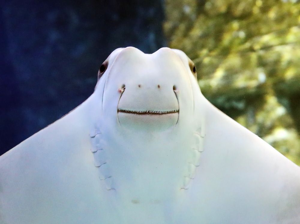 Photograph by Сергей Маслов