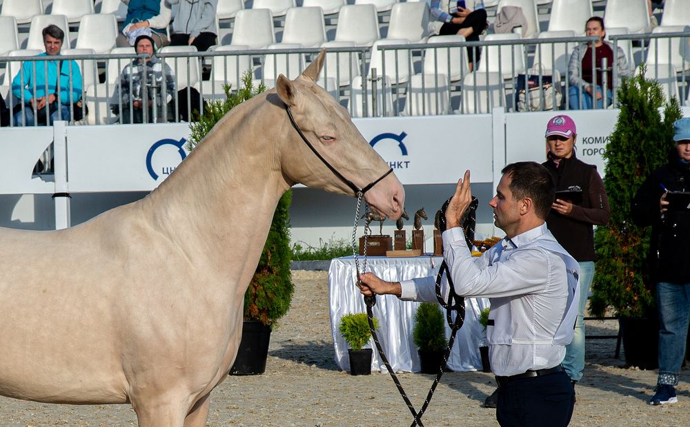Фотография автора Сусанна Галоян