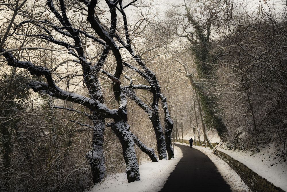 Into the Winter Silence