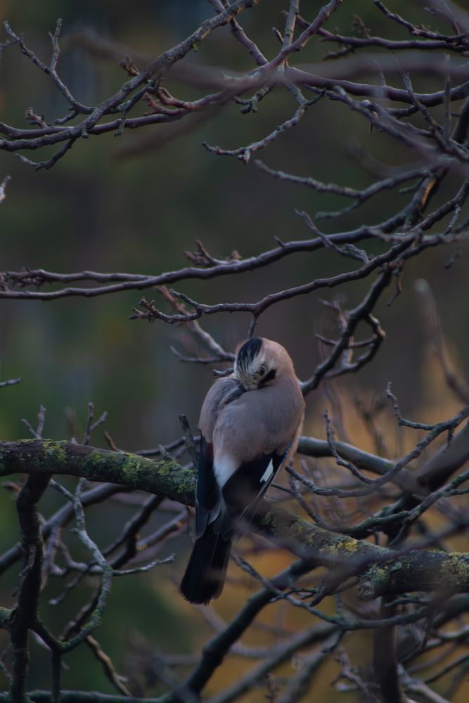 Photograph by Оксана Михайлова