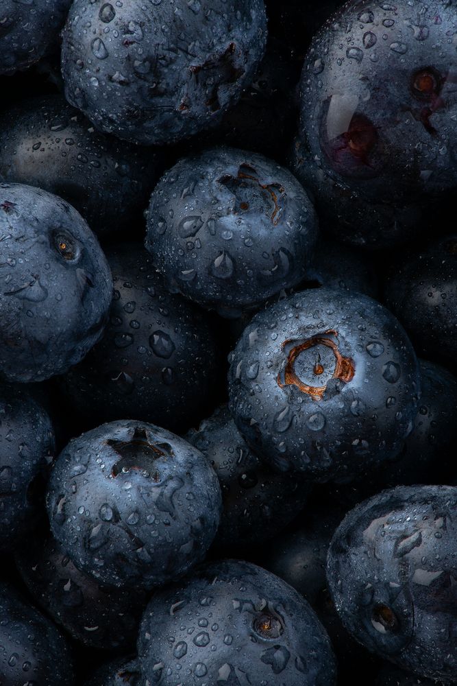 Photograph by Ostojic Marko