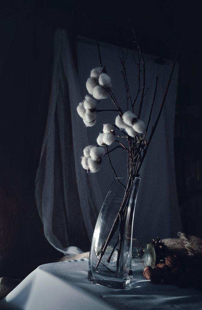 Photograph by Мария Никольская