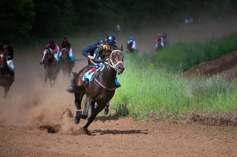 Photograph by Валерия Самчук