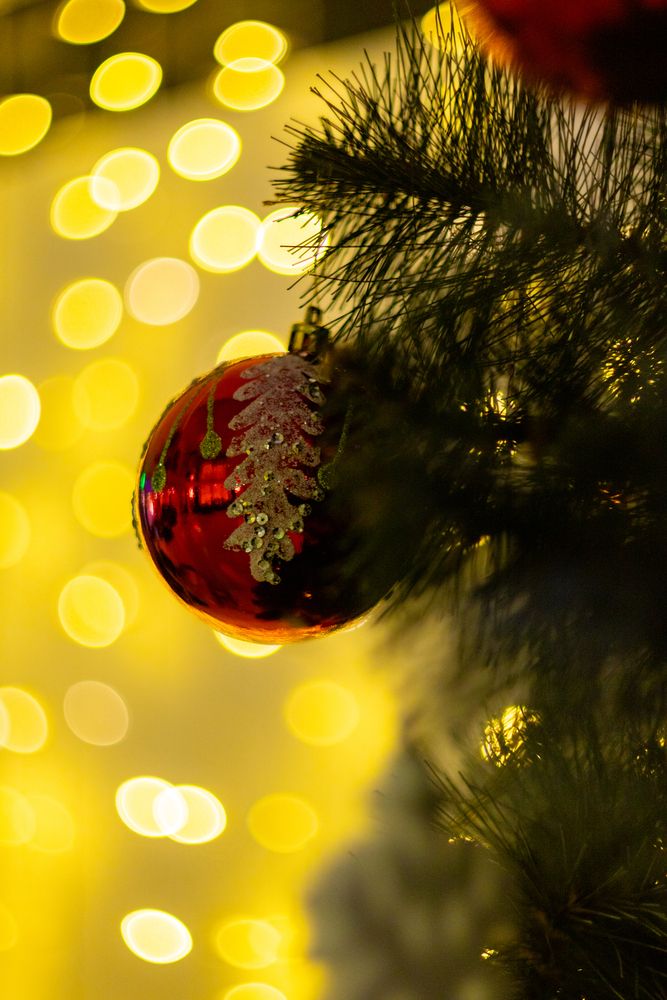 Photograph by Aamoda Kitchen