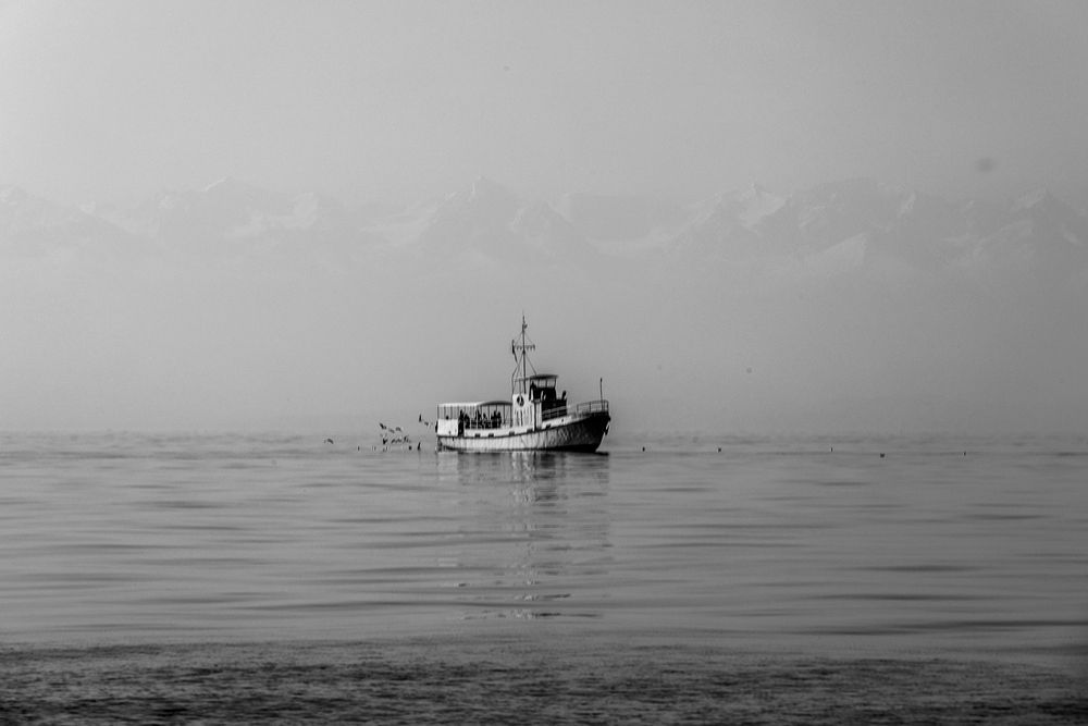 Photograph by Столиванова Елена