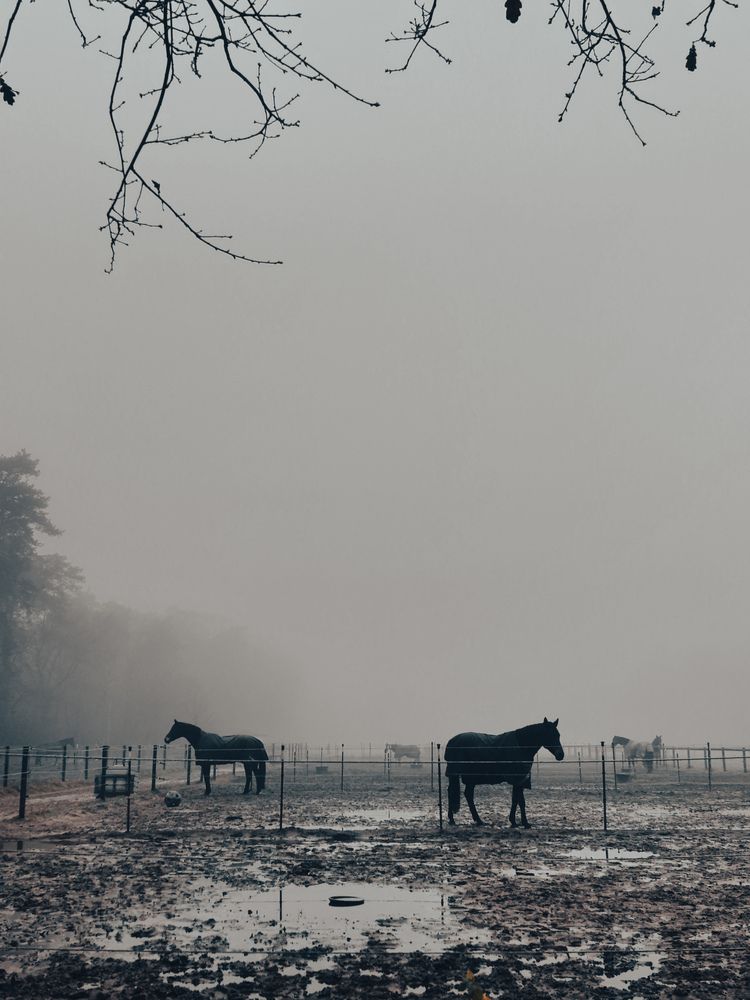 Photograph by Marina Avdeeva